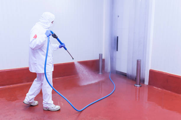 Trusted Seneca Knolls, NY Pressure Washing Experts